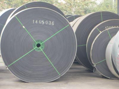 Moulded Edge Nn100-Nn600 Nylon Conveyor Belt