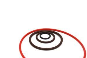 Factory NBR Viton PU Rubber Oil Seal for Car ISO Certificate