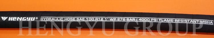 20 Years Experience Hydro Hose Manufacturers Supply SAE 100 R12 Hydraulic Hose