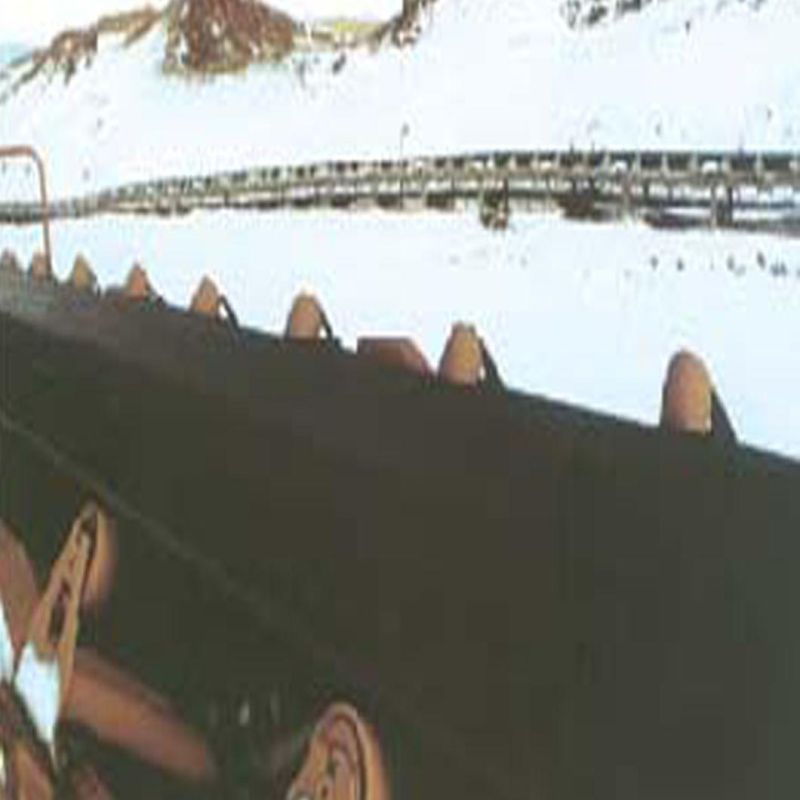 Cold Resistant Conveyor Belt