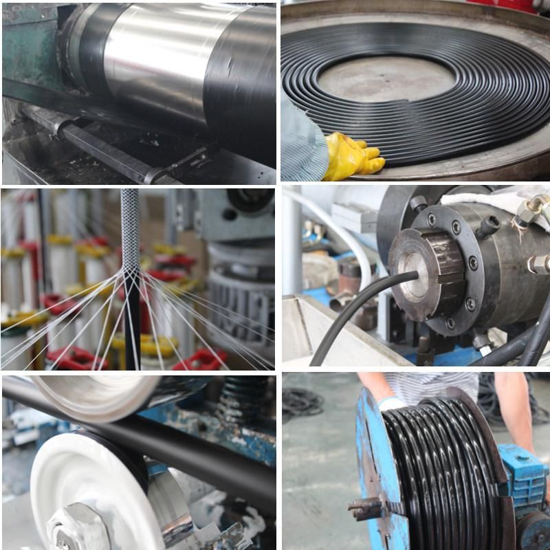 Tire Inflating Hose with Fittings for Truck and Trailer