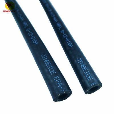 Efi Fuel Injection System Gasoline Diesel FKM/Eco/Ar/Eco Rubber Fuel Hose