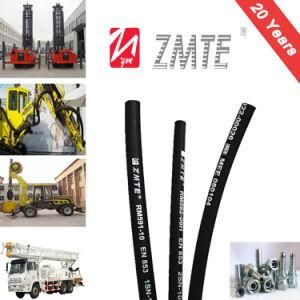 SAE 100r1at 1sn Hydraulic Hose / Flexible Hose / Rubber Hose