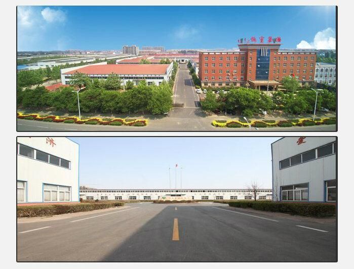 Wire Braided Rubber Hose of Jet Washing Hose 4000psi Hydraulic Hose and Fittings