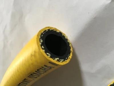 High Pressure Corrosive Resistant Chemical Hose with Fittings