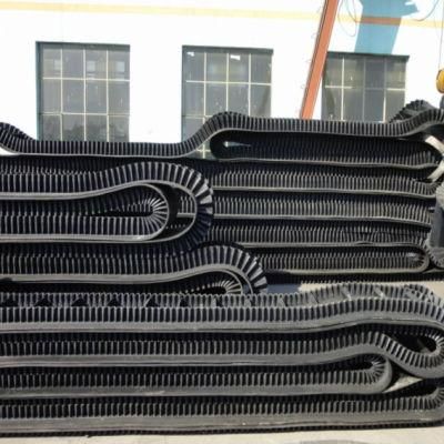 Side Wall Conveyor Belts
