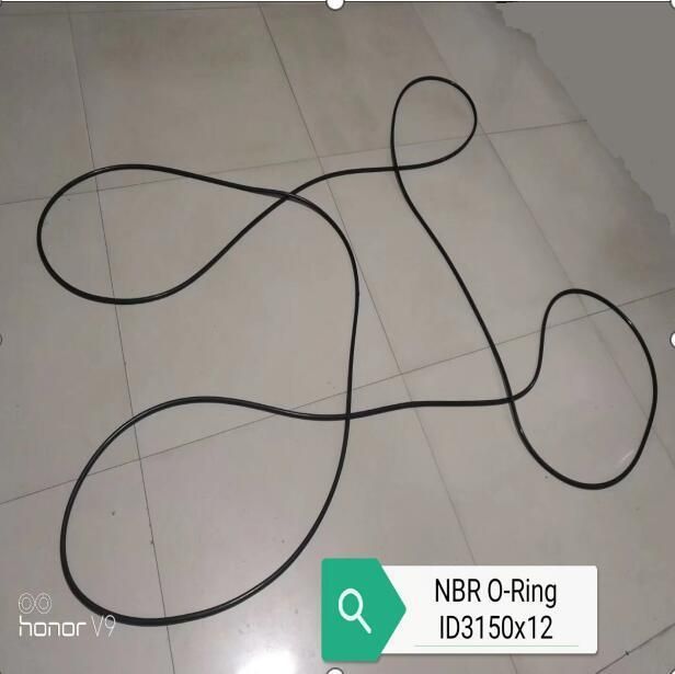 Neoprene CR Rubber Big O-Rings