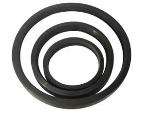 Hby Buffering Seal Ring