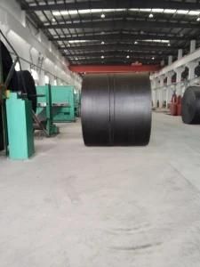 Belt with Wear /Tear Resistant