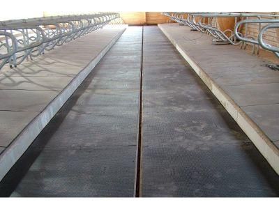 Animal Husbandry Anti Slip Rubber Dairy Cow Walking Way Slip Resistant Mat