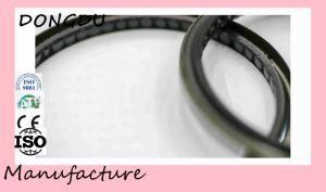 Direct Selling Universal Standard New FKM Oil Seal for Hydraulic Motor