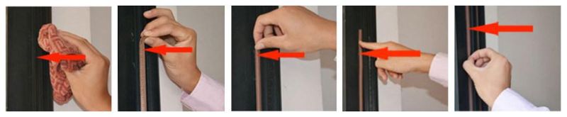 Z-Type Car Body Door Rubber Hollow Strip Weatherstrip for Sealing