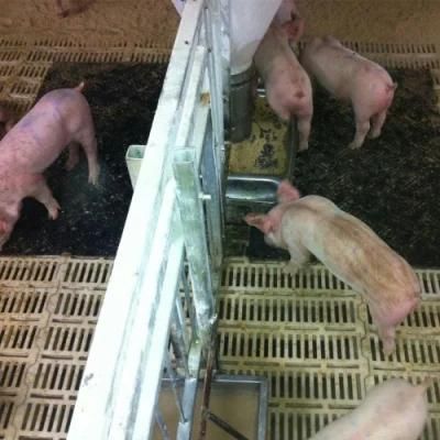 Modern Farm Project Pig Farm Equipment Rubber Mat with Fiber