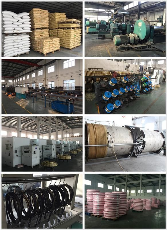 High Pressure Hydraulic Jack Hose for Hydraulic Goods Lifts