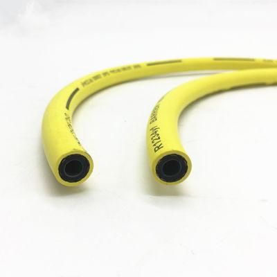 SAE J2196 Auto Refrigerant Charging Hose R134A AC Hoses