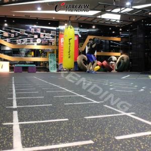 Sundry Color Non-Toxin Flooring/ Indoor Gym Rubber Floor