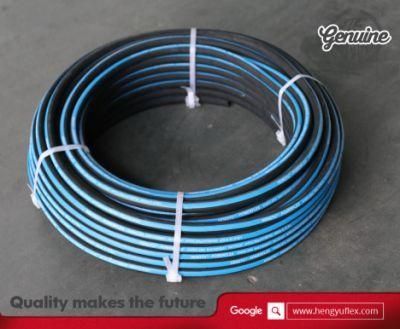 Wire Reinforced High Pressure Hydraulic Rubber Hose Pipe SAE 100r2 at/DIN En853 2sn/Mangueras