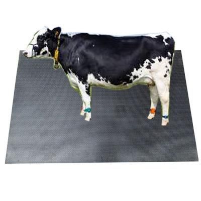 Competitive Price Horse/Cow Standing Rubber Mat