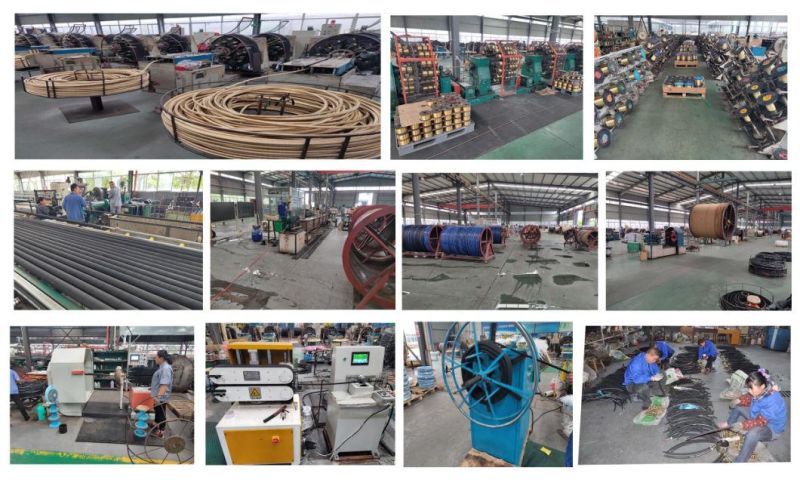 Fuel Dispenser Rubber Pump Gasoline Diesel Nozzle Hydraulic Pipe Hose Assembly with Brass Chrome Plated Fitting for Gas Station