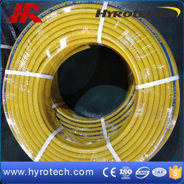 Yellow Air Water Hose