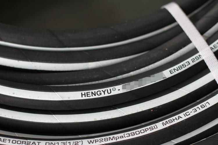 China Professional Hydraulic Hose Supplier SAE100 R2