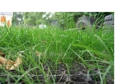 Drainage Anti-Fatigue Rubber Mat and Antibacterial Floor Mat