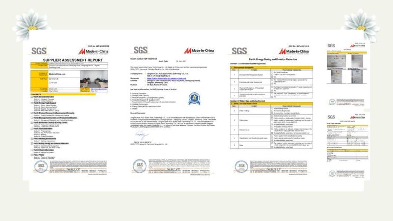 Pressure and Oil Resistance with Spring Monomer Skeleton Oil Seal/Mechanical Seal Ring