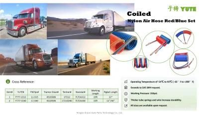 Yute Air Line, Coiled Air Brake Hose 15 FT Nylon Tubing Red and Blue Set W/40&quot; Lead