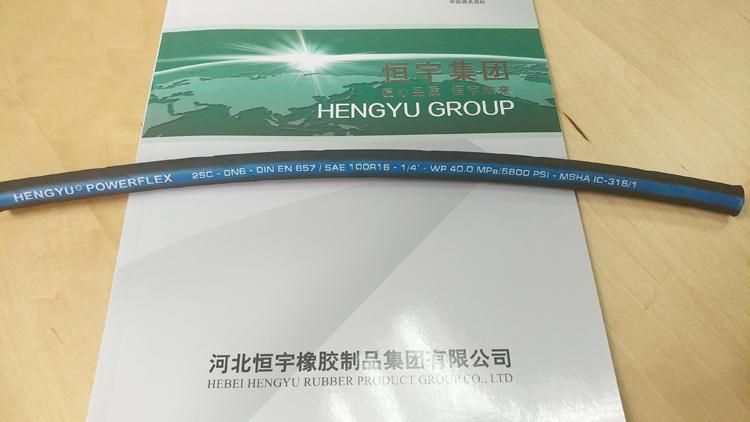 Chinese Supplier Hebei Hengyu DIN En853 2sc More Flexible Two Wire Braided Hoses