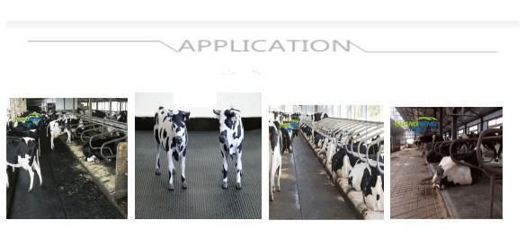 Anti-Fatigue Horse Rubber Mat/Animal Cow Horse Matting