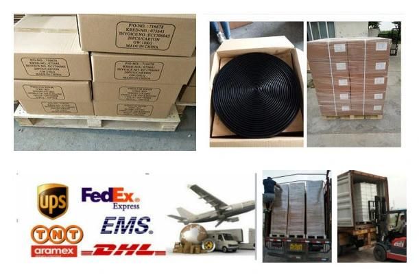 Auto EPDM Sponge and Solid Rubber Profile with Steel Belt
