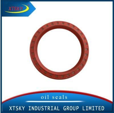 Xtsky High Quality Oil Seal 80*100*13