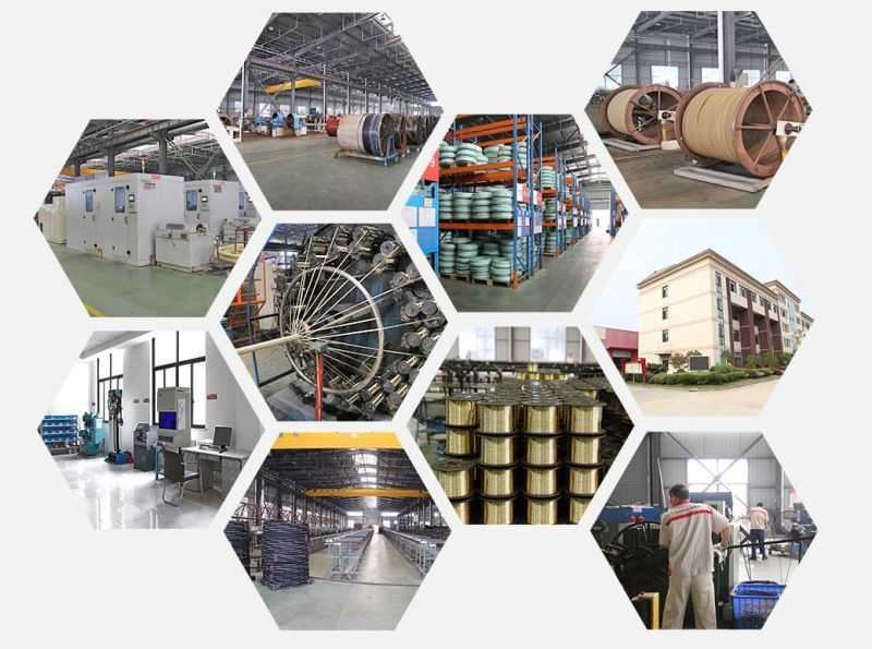 4sh 4sp High Pressure Rubber Hose and Fitting Applied to The General Mining Equipment