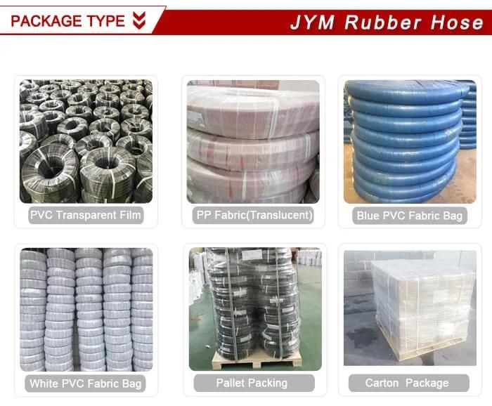 Smoothbore Stainless Steel Braid Hose/PTFE Flexible Hose/SAE100 R14