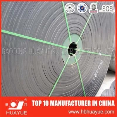Standard Cold Resistance Conveyor Belt