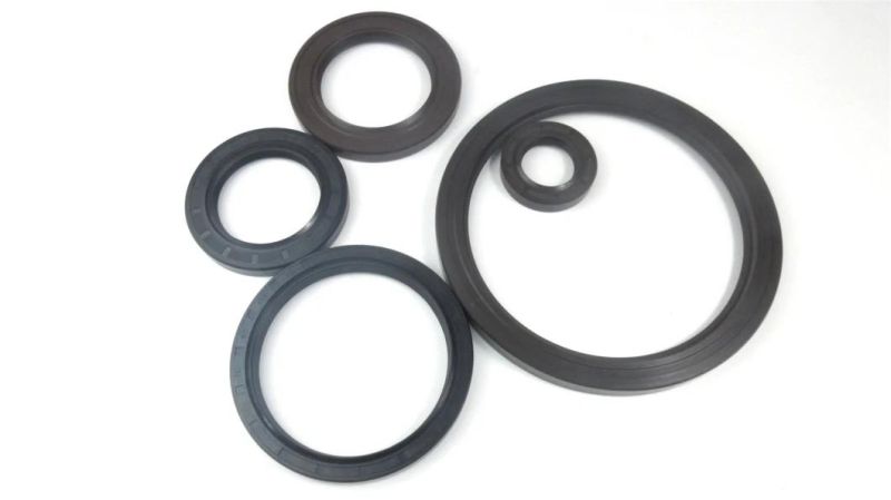 FKM Oil Seal for Heavy Truck
