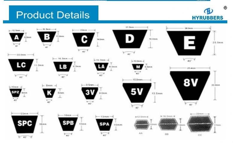 Qingdao Cheap Price Classical Cogged V Belt Zx