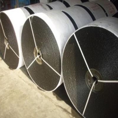 Polyester Conveyor Belt