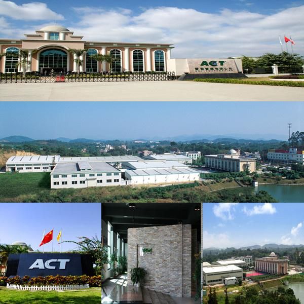 2016 New Collected Interlocking Grass Protection Temporary Flooring, Grass Protection Tile