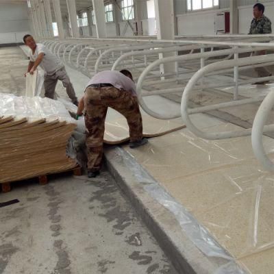 Hot Selling 50mm Cow Sleeping Rubber Farming Comfortable Mat