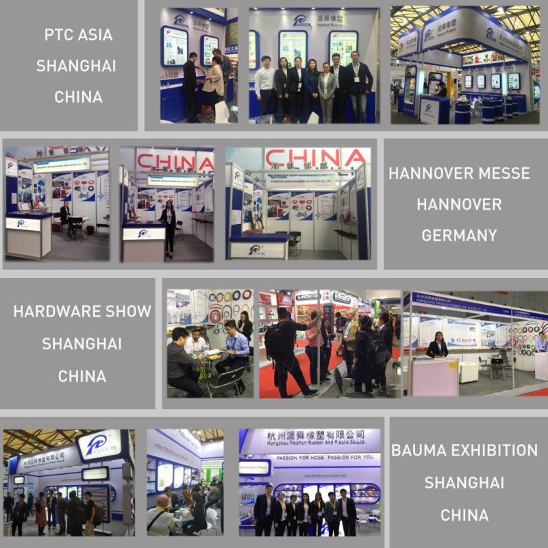 ISO9001 Household Fuel Rubber LPG Gas Hose/Propane Hose Manufacturer