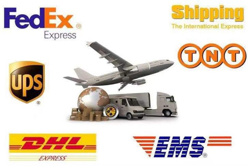High Quality 2st/2sn/1sn/2sn Steel Wire Hydraulic Hose for Mechanical Equipment