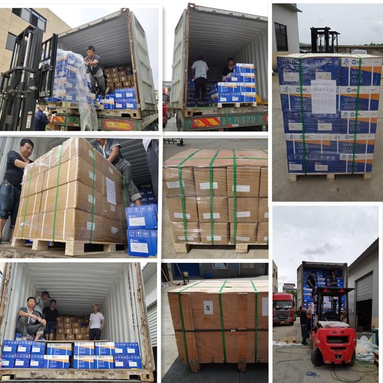 60cm 80cm 120cm EPDM Tube SS304 Metal Hose