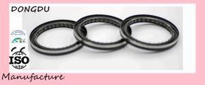 Hydraulic Seal Rubber Parts Oil Seal Wg005415505 41*52.5*4 NBR Sino Truck