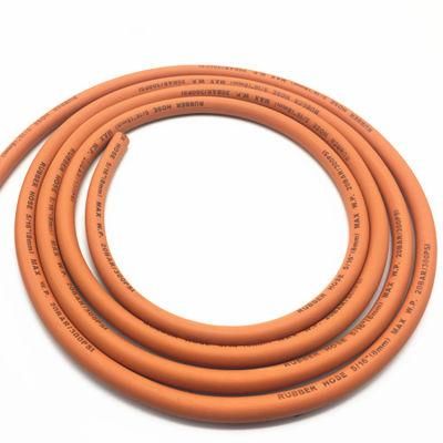 ISO3821 Standard W. P 20bar Flexible Heat Resistant Gas Hose
