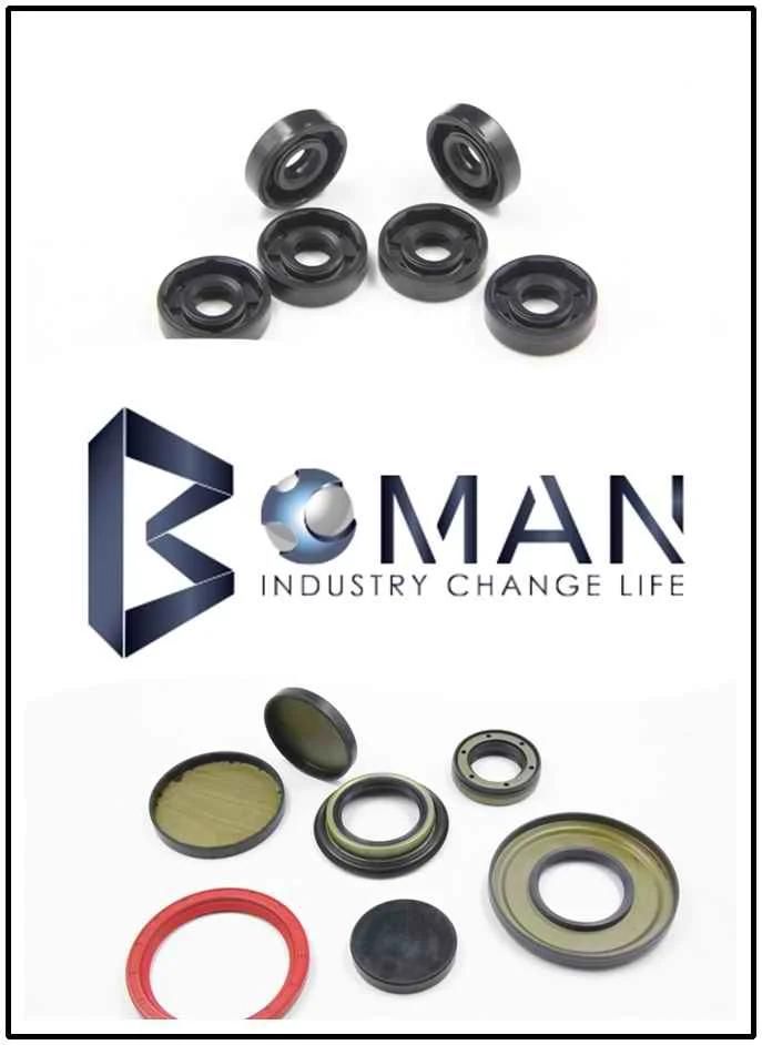 High Quality Double Lip Oil Seal Bonded Seal O Ring Rubber Seal