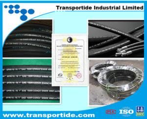 ISO Certificate Hydraulic Hose 2sn 1/4&quot;