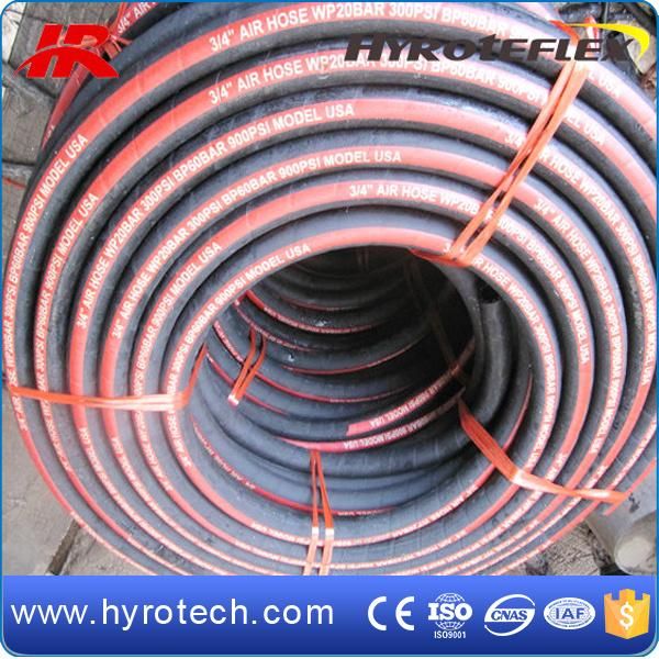 Blue Color Air Hose