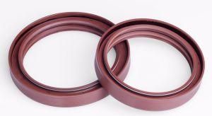 High-End HNBR EPDM PTFE NBR Viton FKM Silicone Sc Tc Rubber Part Oil Seal for Hydraulic Sealing