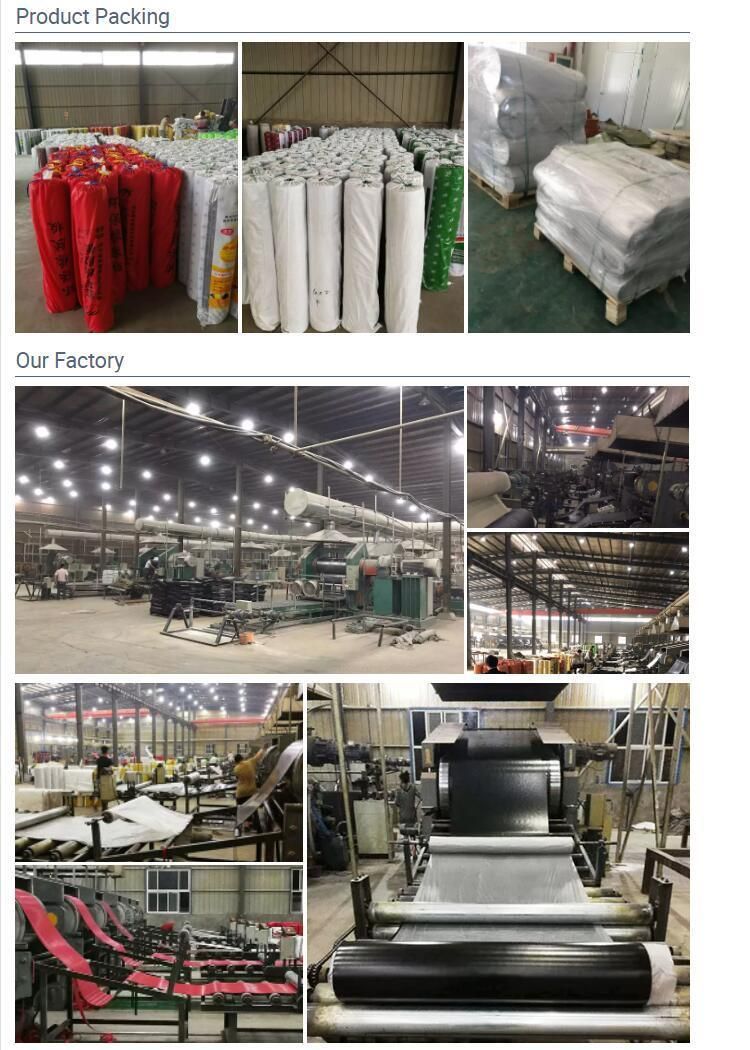 Commercial SBR/Nr/NBR Waterproof Fine Ribbed Rubber Sheet in Roll